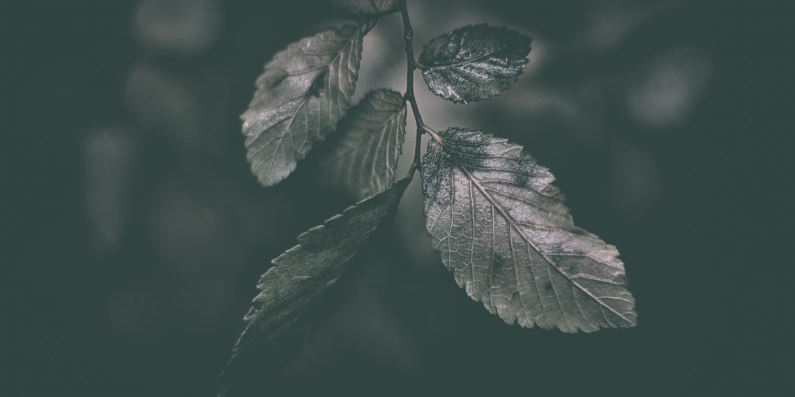 হক-না হকের ফিরিস্তি
